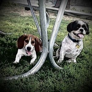 Meet your Posher, Gerlie